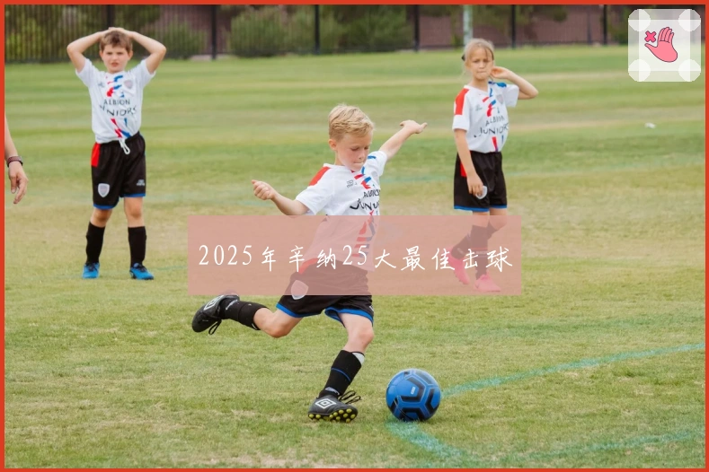 2025年辛纳25大最佳击球